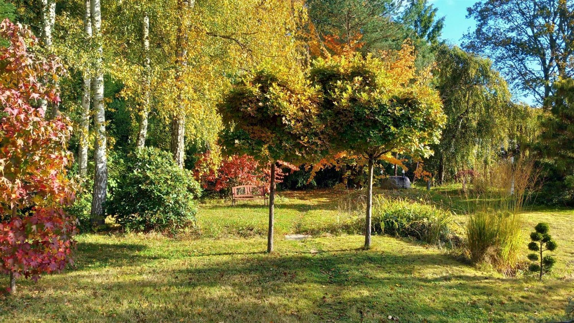 Ostsee Hotel-Pension An Der Lindenallee Bad Doberan Dış mekan fotoğraf
