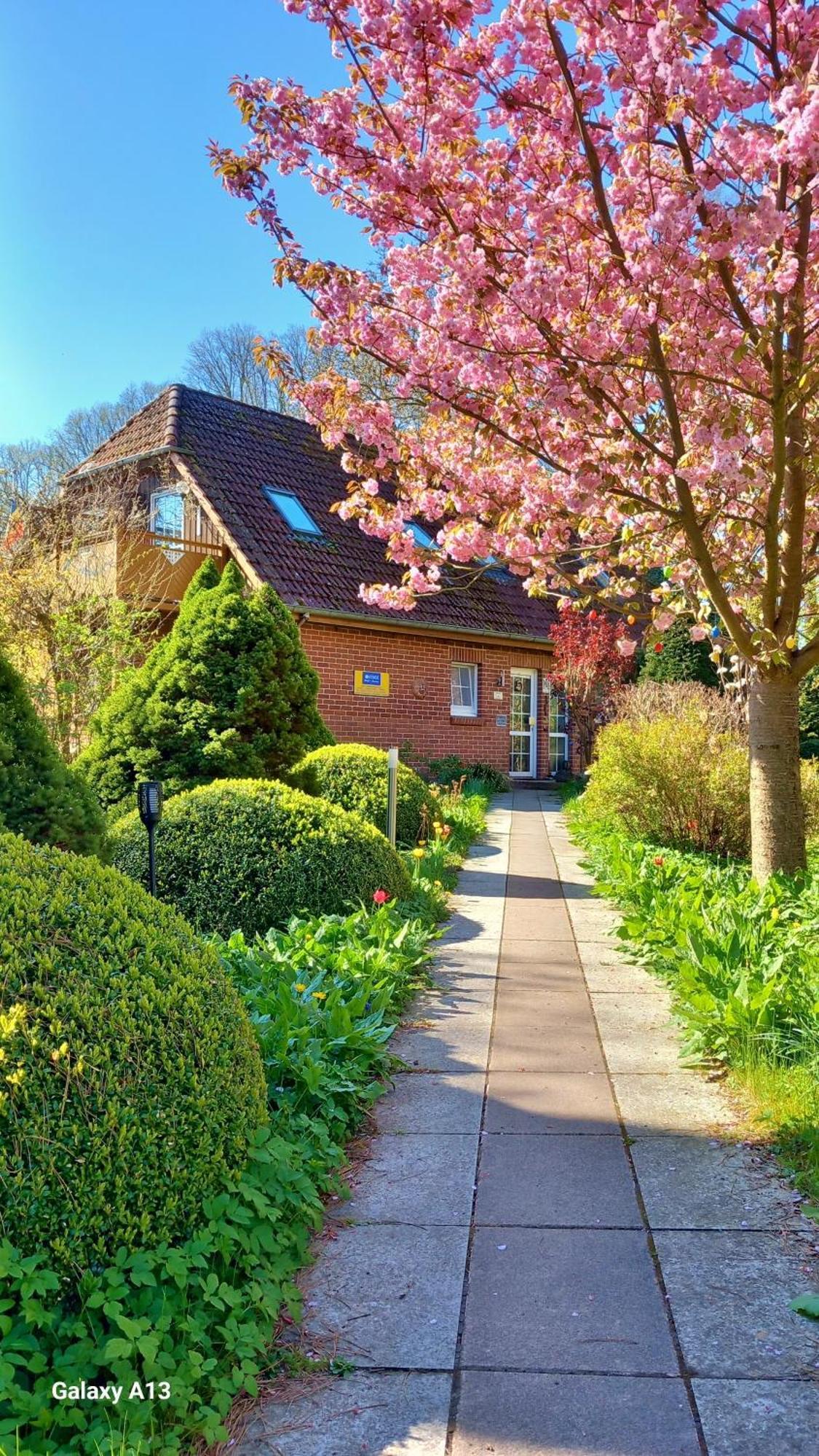 Ostsee Hotel-Pension An Der Lindenallee Bad Doberan Dış mekan fotoğraf